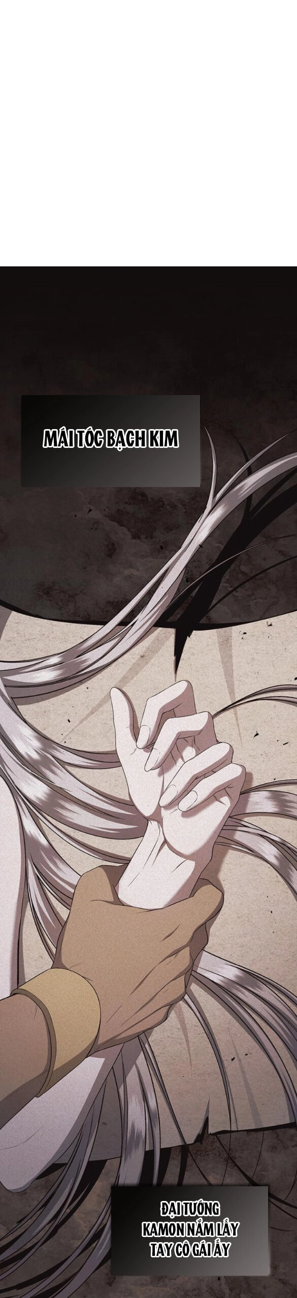 Ai Đã Bắt Cóc Hoàng Hậu? Chapter 26.1 - 13