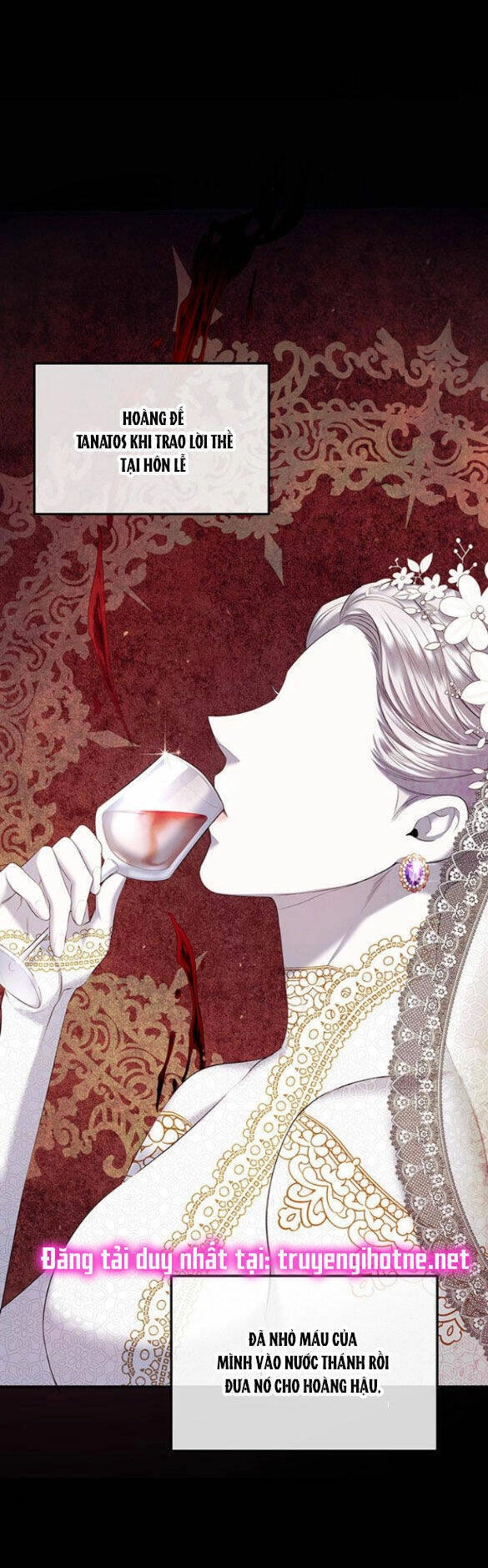 Ai Đã Bắt Cóc Hoàng Hậu? Chapter 4.2 - 14