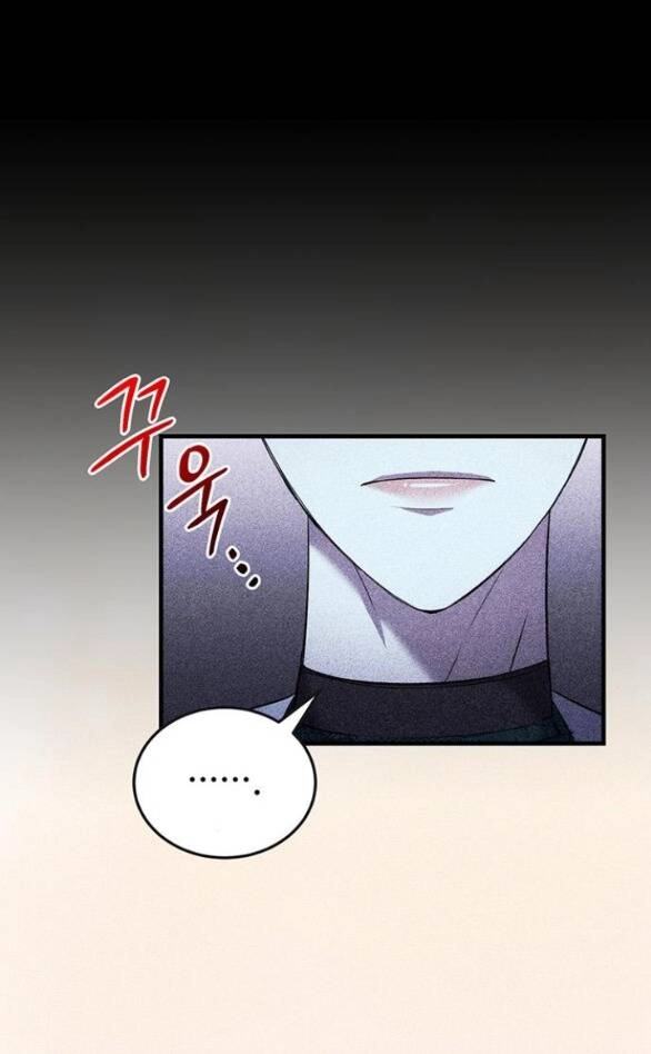 Ai Đã Bắt Cóc Hoàng Hậu? Chapter 11.2 - 14