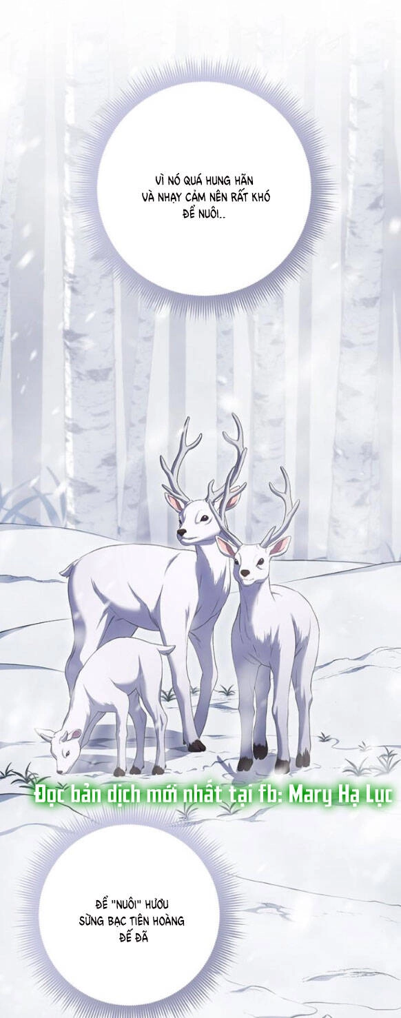 Ai Đã Bắt Cóc Hoàng Hậu? Chapter 15.2 - 32