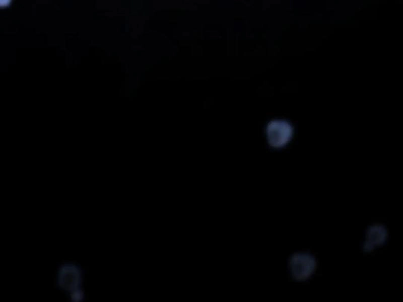 Trảm Nguyệt Chapter 33 - 53