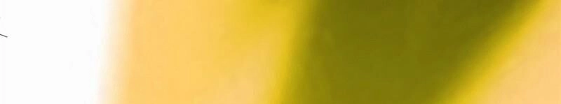 Ta Tu Có Lẽ Là Giả Tiên Chapter 82 - 22