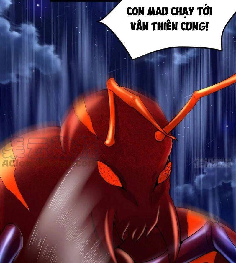 Ta Tu Có Lẽ Là Giả Tiên Chapter 144 - 23