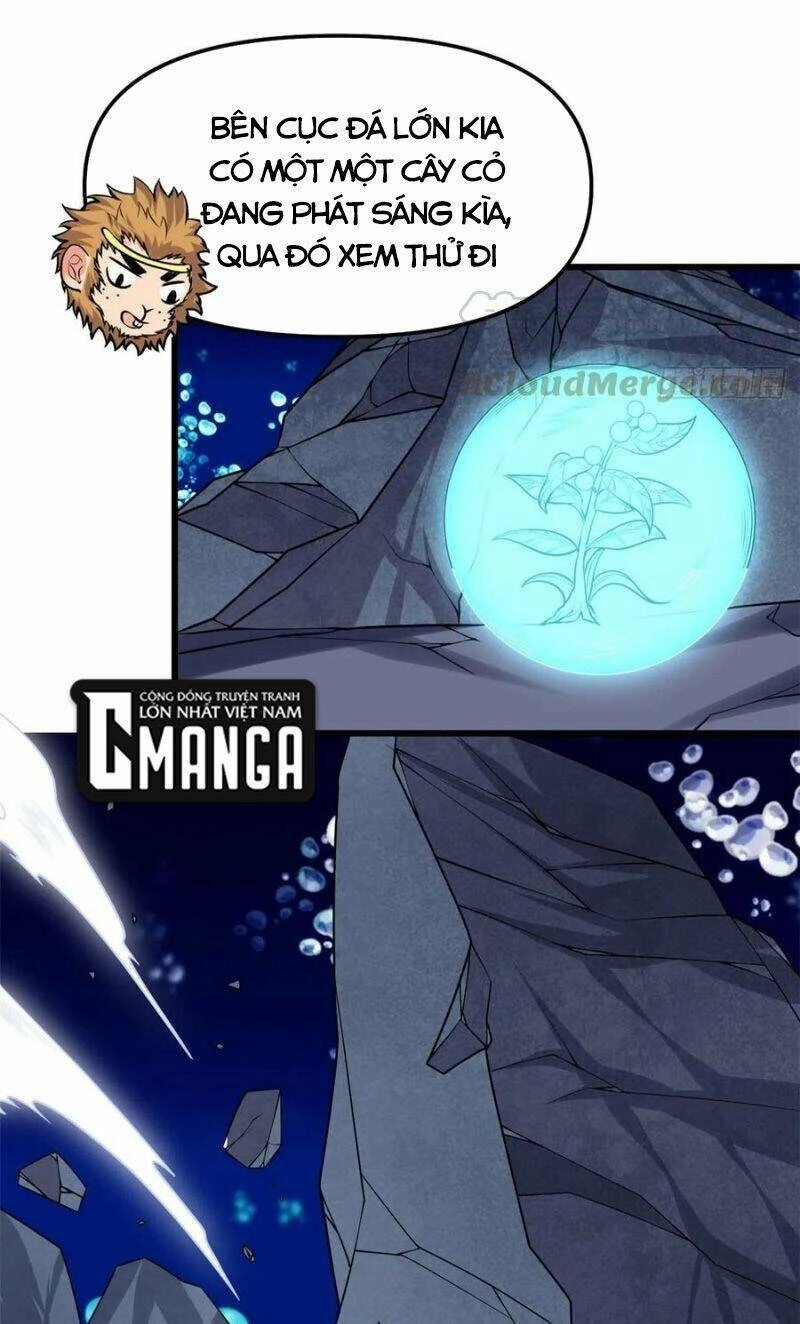 Ta Tu Có Lẽ Là Giả Tiên Chapter 177 - 13