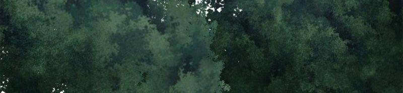 Ta Tu Có Lẽ Là Giả Tiên Chapter 190 - 12