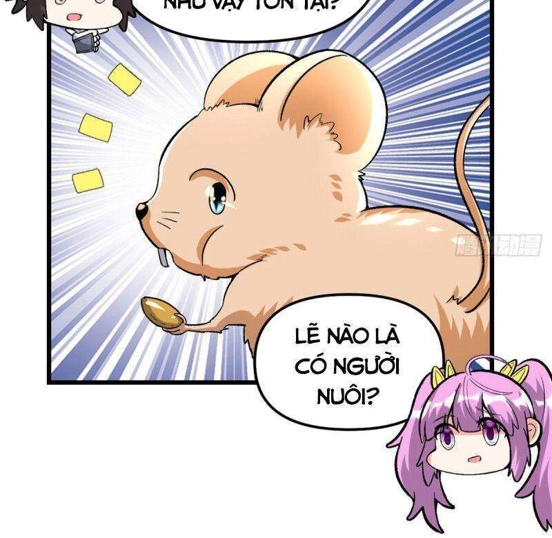 Ta Tu Có Lẽ Là Giả Tiên Chapter 207 - 12