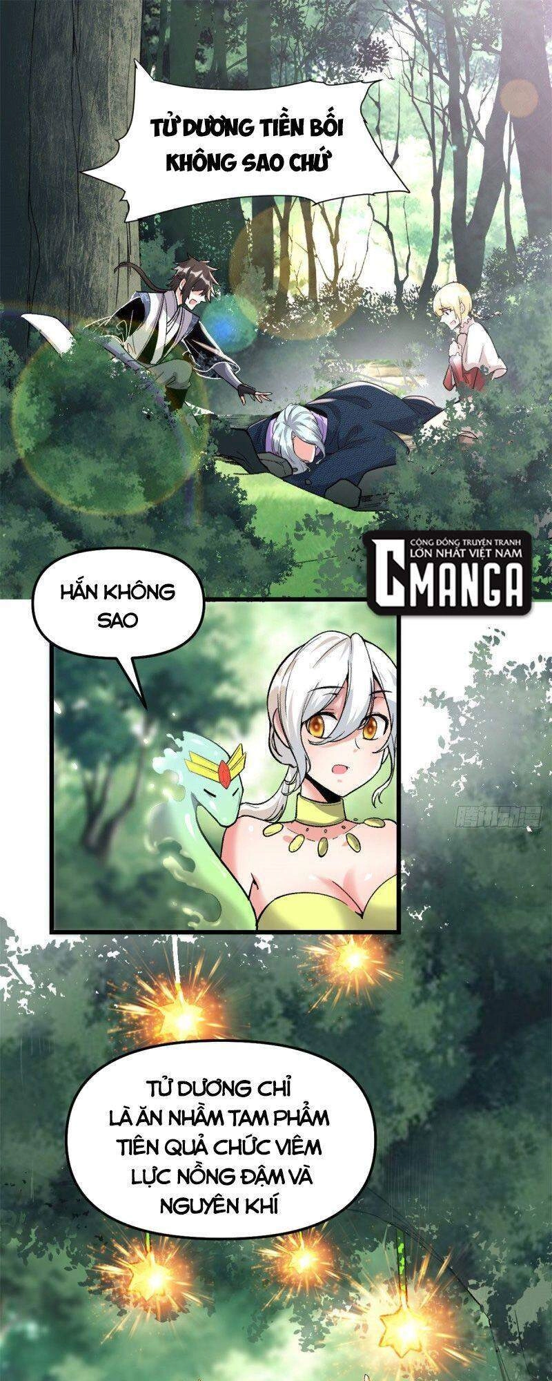 Ta Tu Có Lẽ Là Giả Tiên Chapter 208 - 1