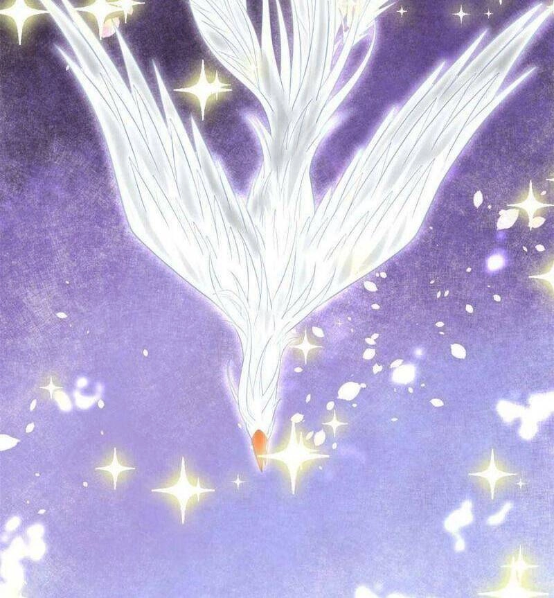 Ta Tu Có Lẽ Là Giả Tiên Chapter 254 - 4