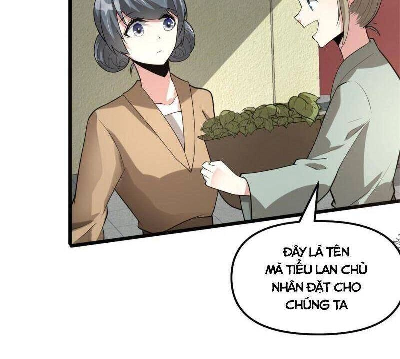 Ta Tu Có Lẽ Là Giả Tiên Chapter 272 - 6