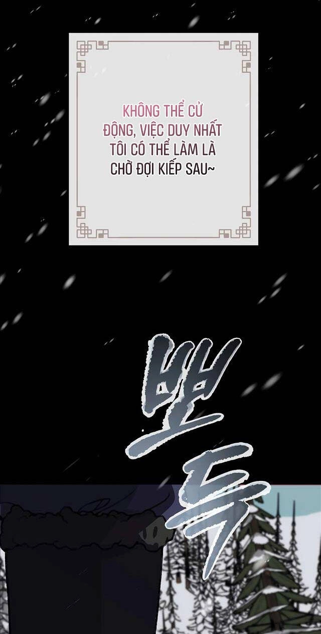 Thiên Tài Võ Thuật Hoàn Sinh Chapter 15 - 14