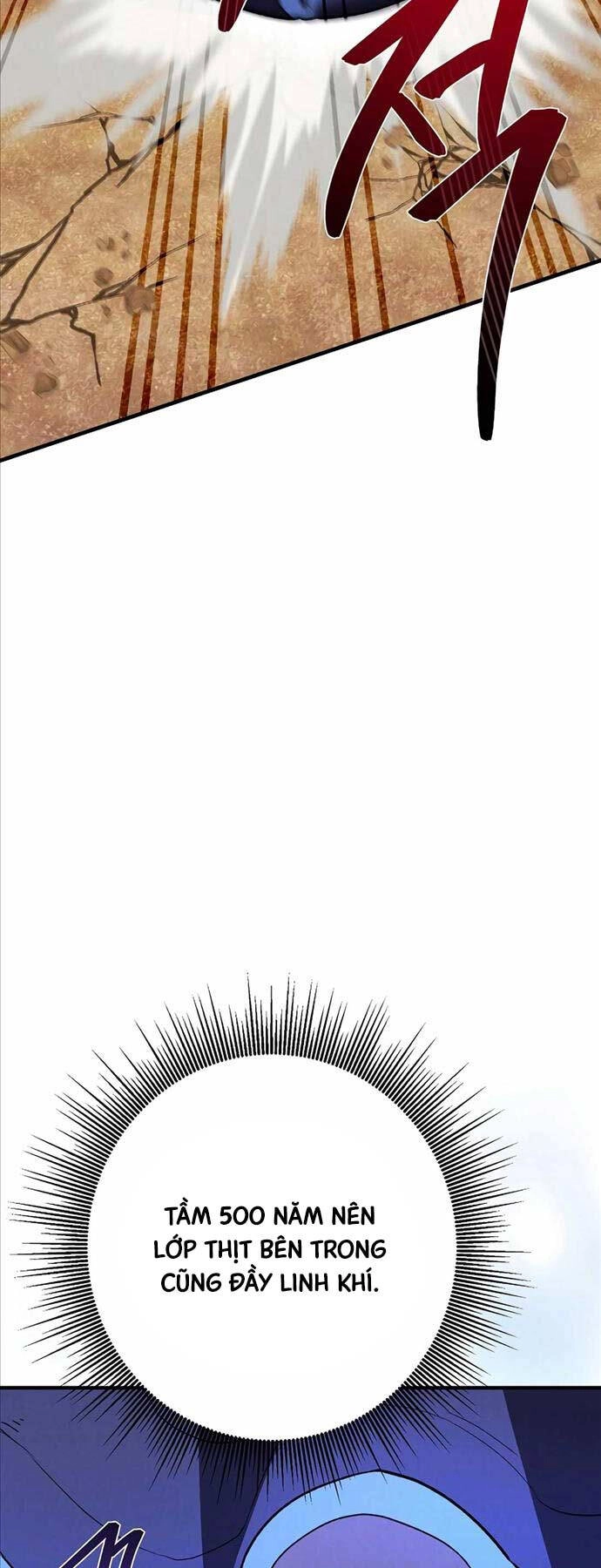 Thiên Tài Võ Thuật Hoàn Sinh Chapter 18 - 28