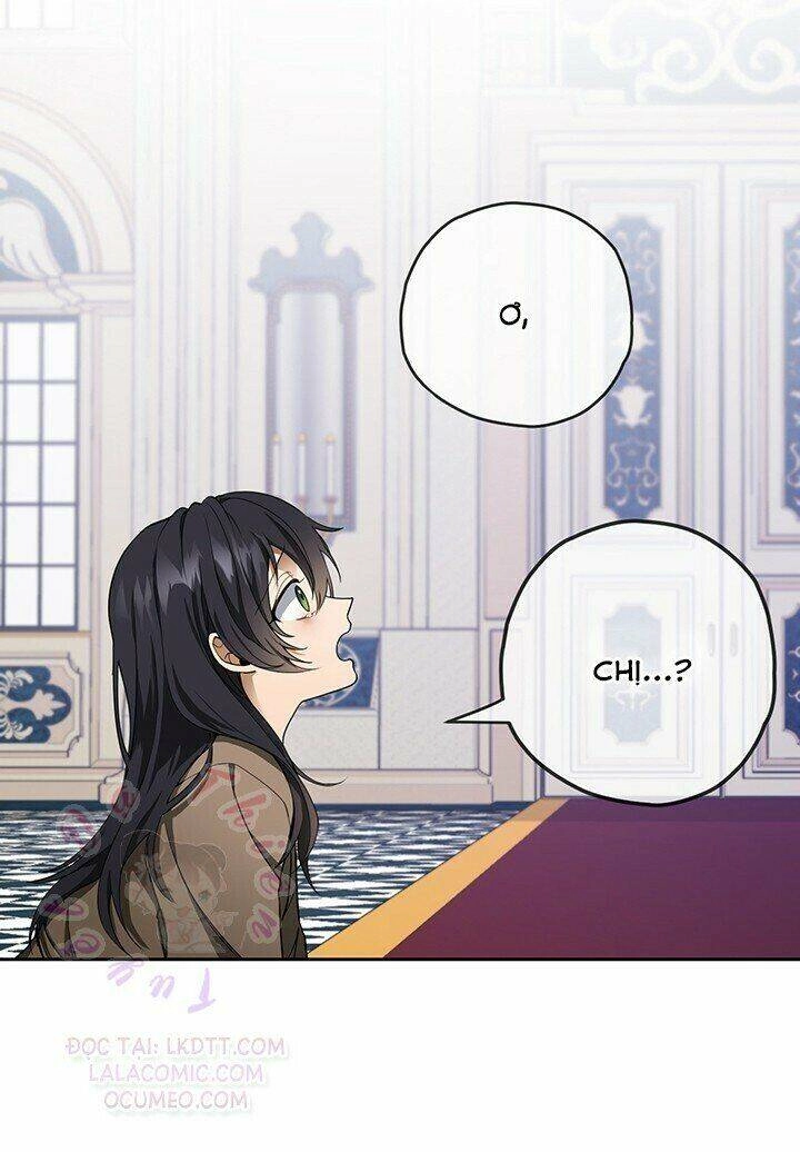 Lần Nữa Toả Sáng Chapter 2 - 14