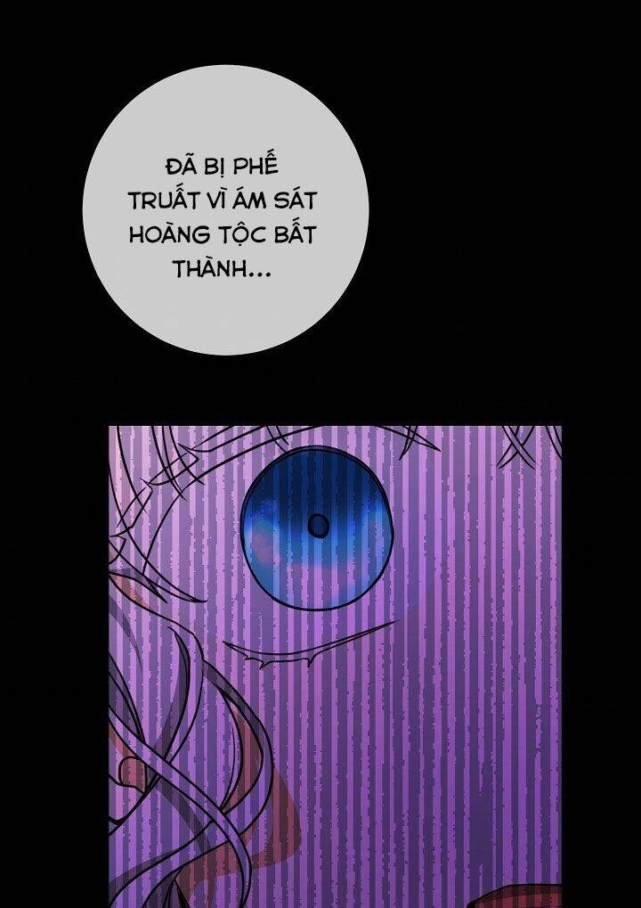 Lần Nữa Toả Sáng Chapter 26 - 68