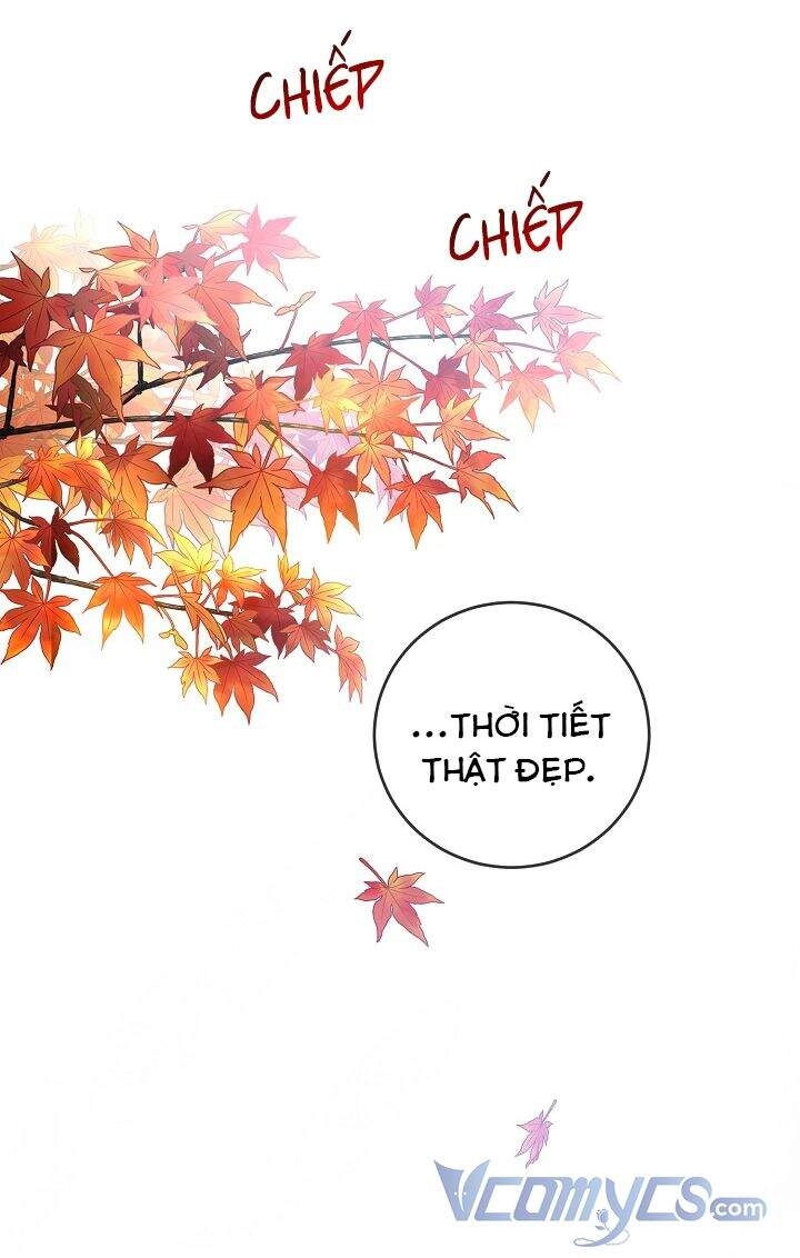 Lần Nữa Toả Sáng Chapter 30 - 66