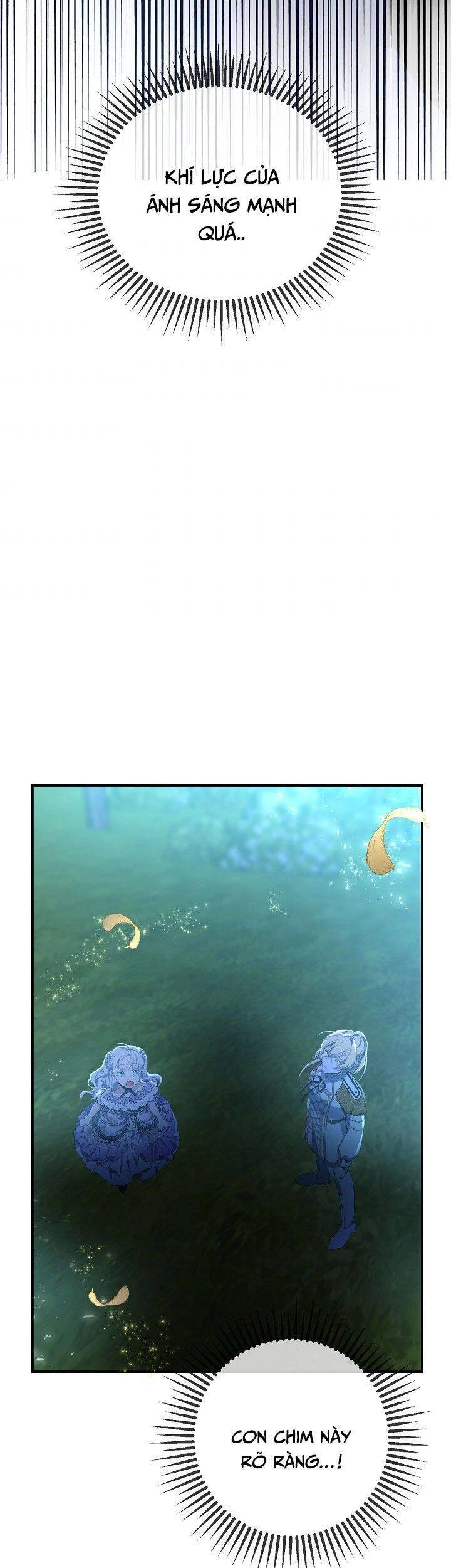 Lần Nữa Toả Sáng Chapter 43 - 23