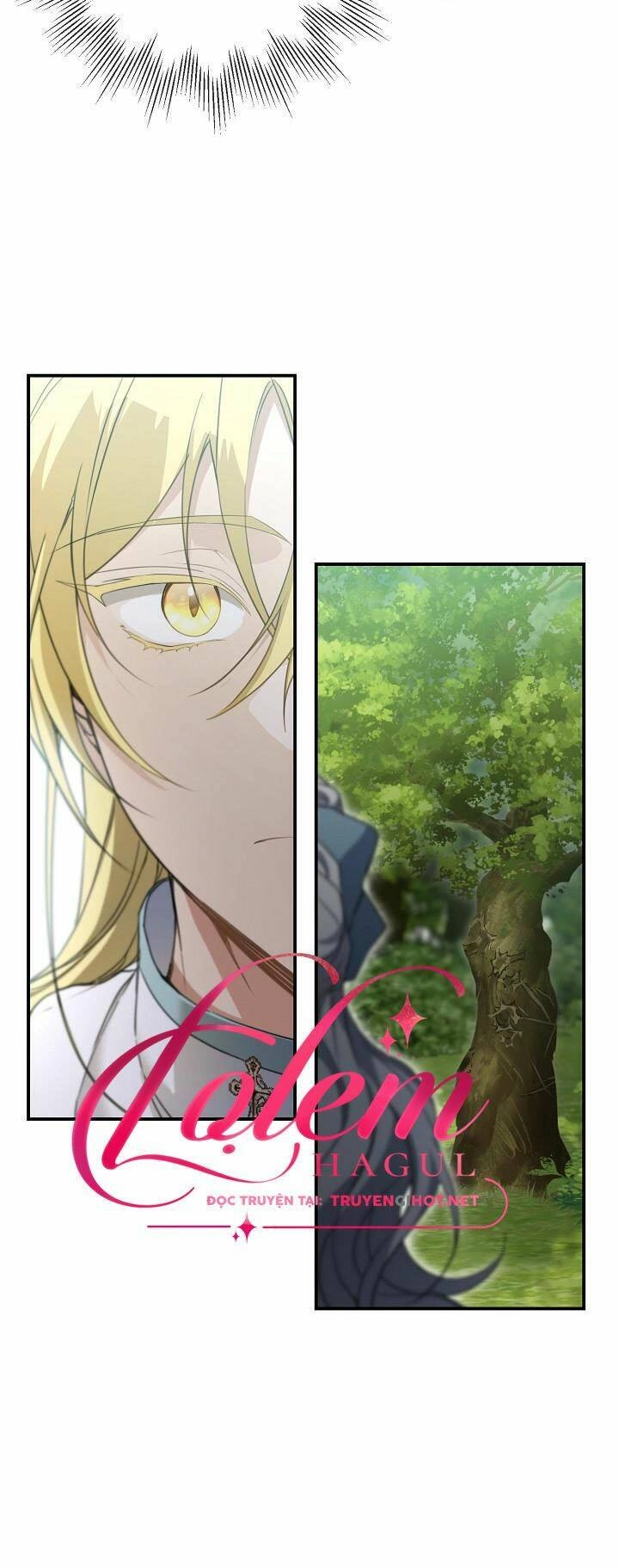 Lần Nữa Toả Sáng Chapter 62 - 29