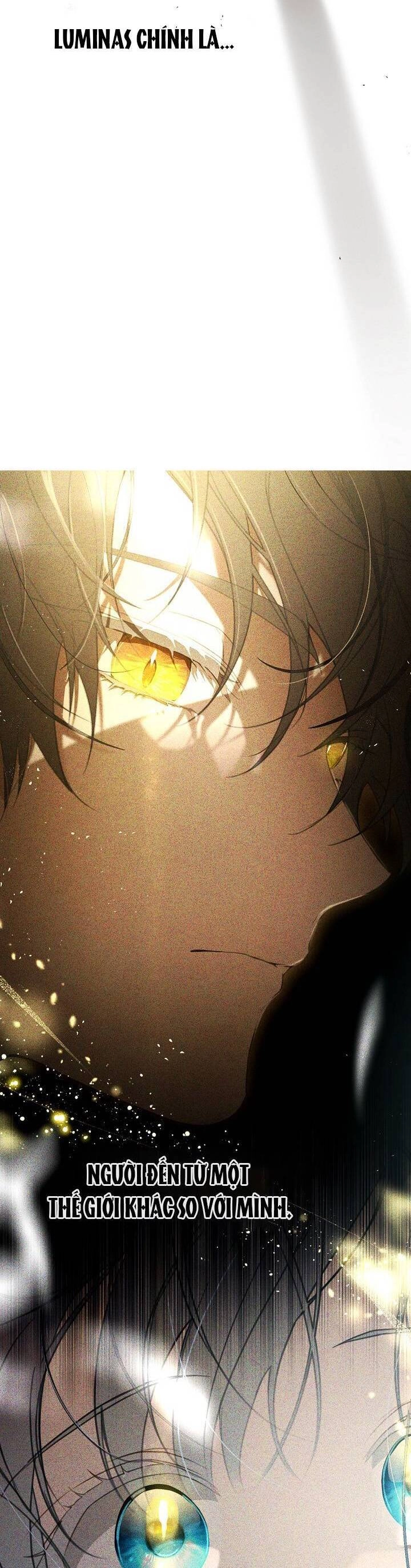 Lần Nữa Toả Sáng Chapter 66 - 6