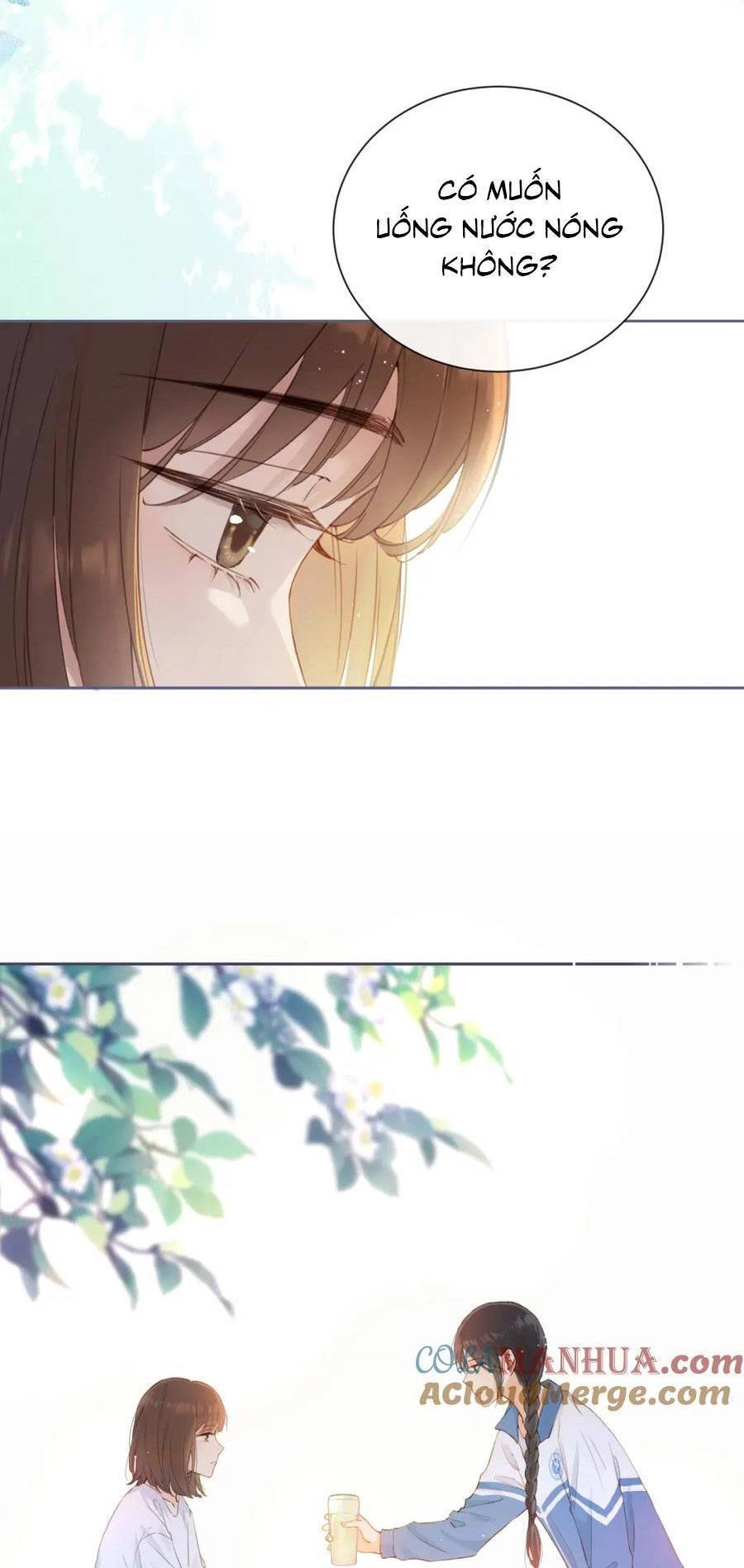 Núi Của Nàng, Biển Của Nàng Chapter 2 - 12