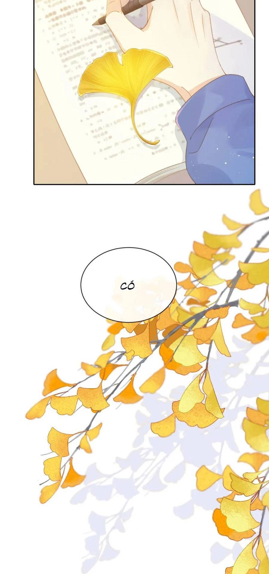 Núi Của Nàng, Biển Của Nàng Chapter 8 - 8