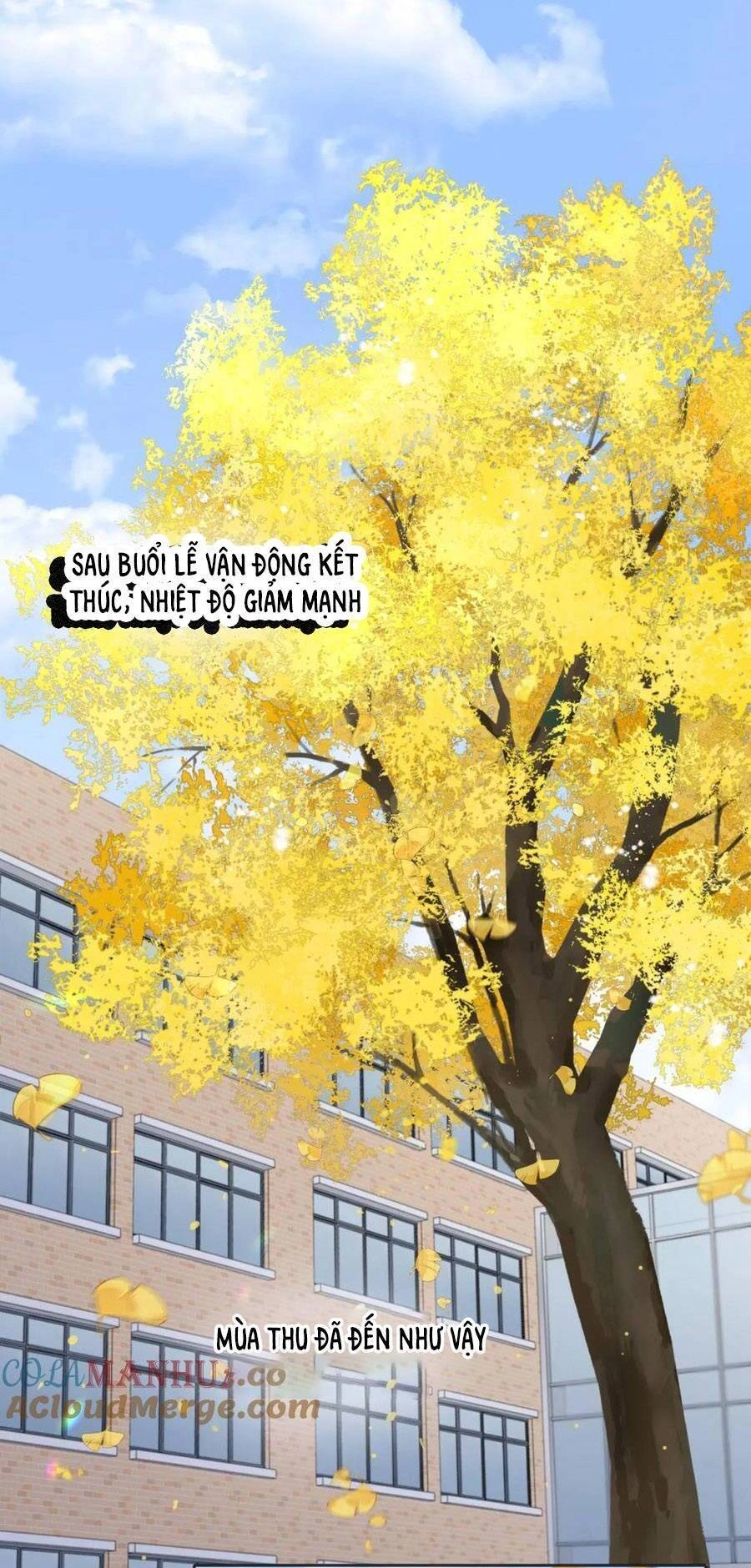 Núi Của Nàng, Biển Của Nàng Chapter 10 - 10