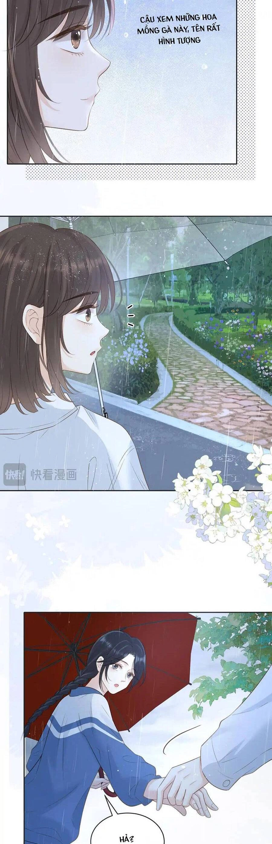 Núi Của Nàng, Biển Của Nàng Chapter 42 - 24