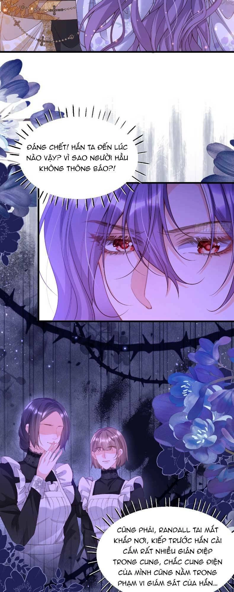 Cầu Hôn Giáo Hoàng Chapter 5 - 2