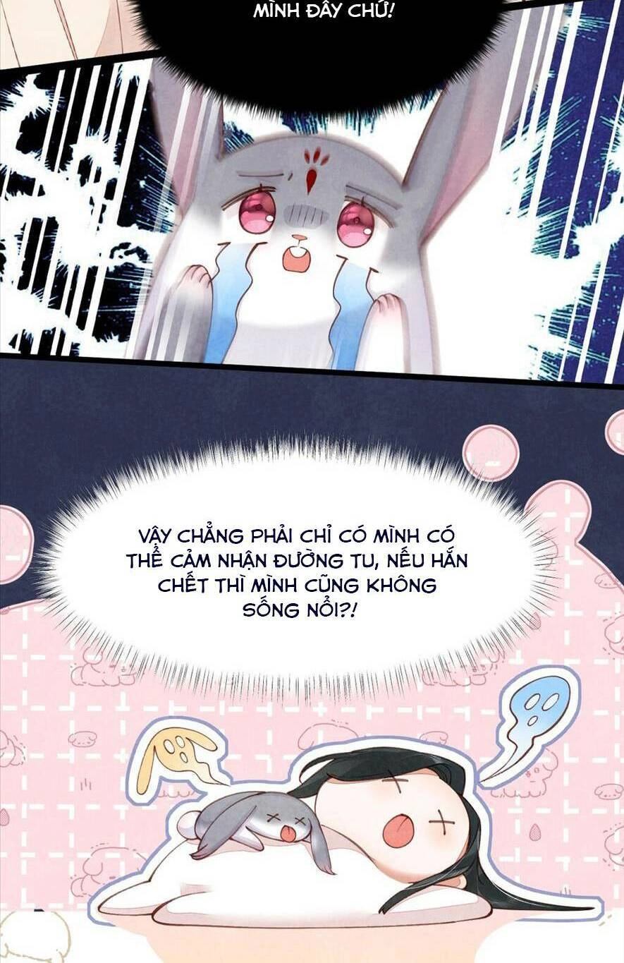 Cách Để Tồn Tại Như Một Cống Phẩm Chapter 3 - 6