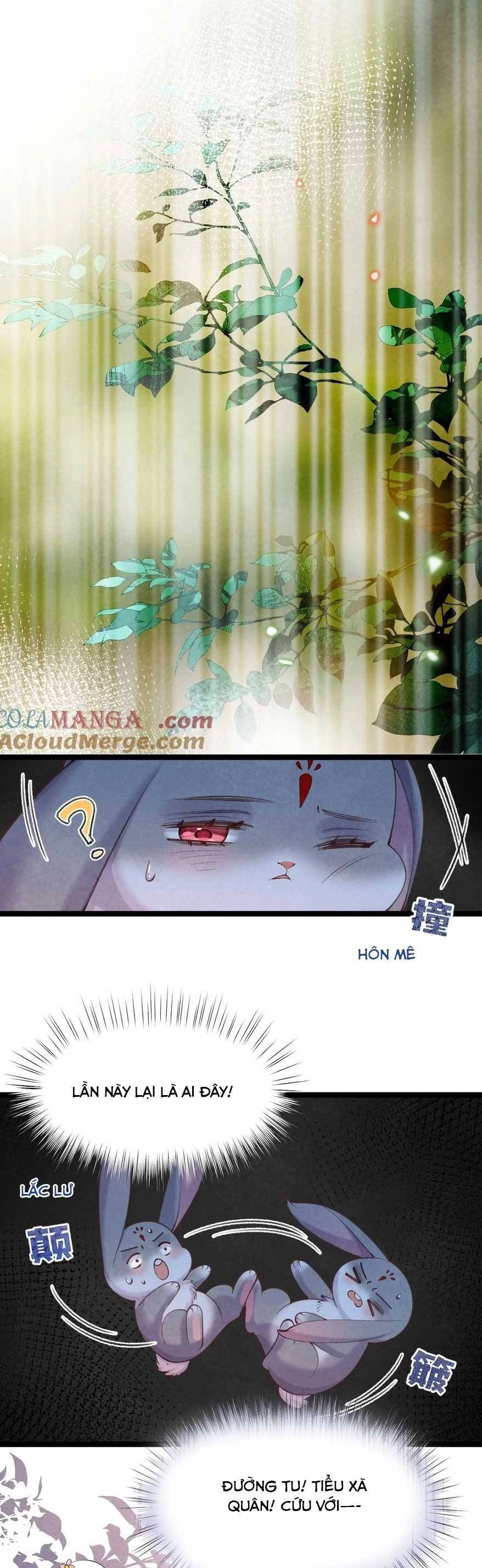 Cách Để Tồn Tại Như Một Cống Phẩm Chapter 16 - 9