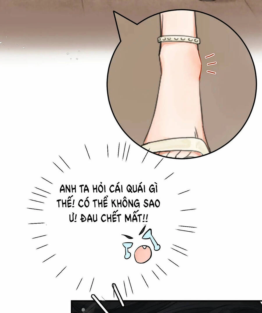 Xin Được Chỉ Giáo Chapter 3.2 - 5