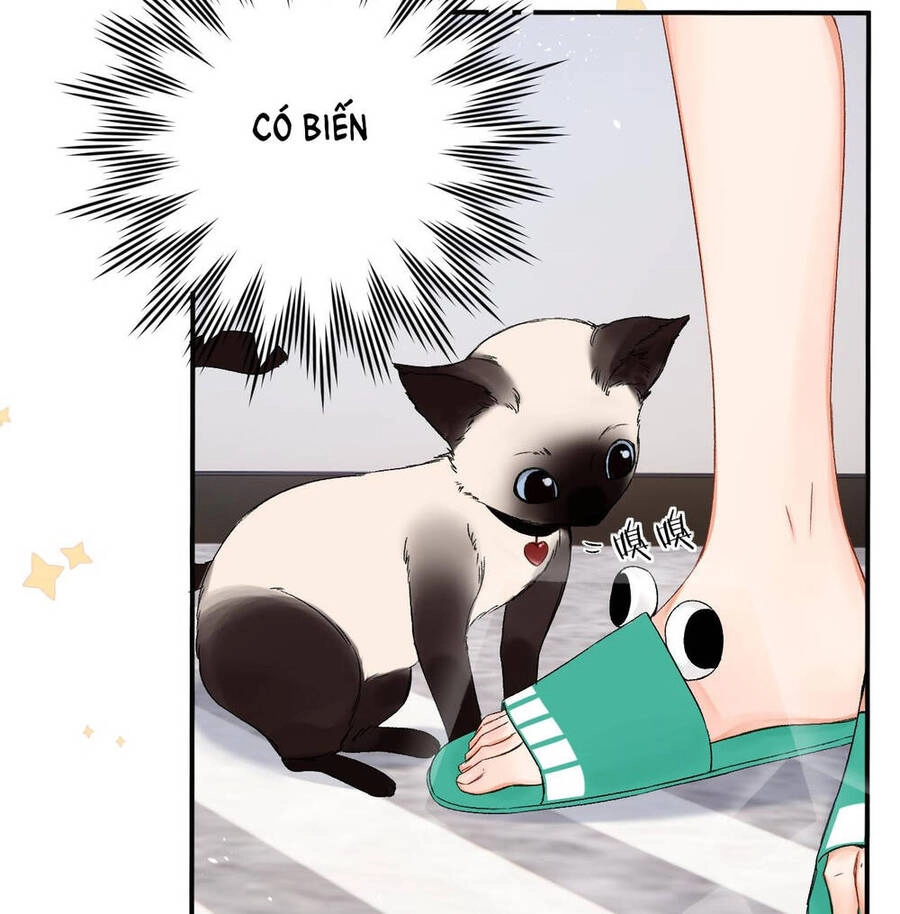 Xin Được Chỉ Giáo Chapter 5.1 - 15