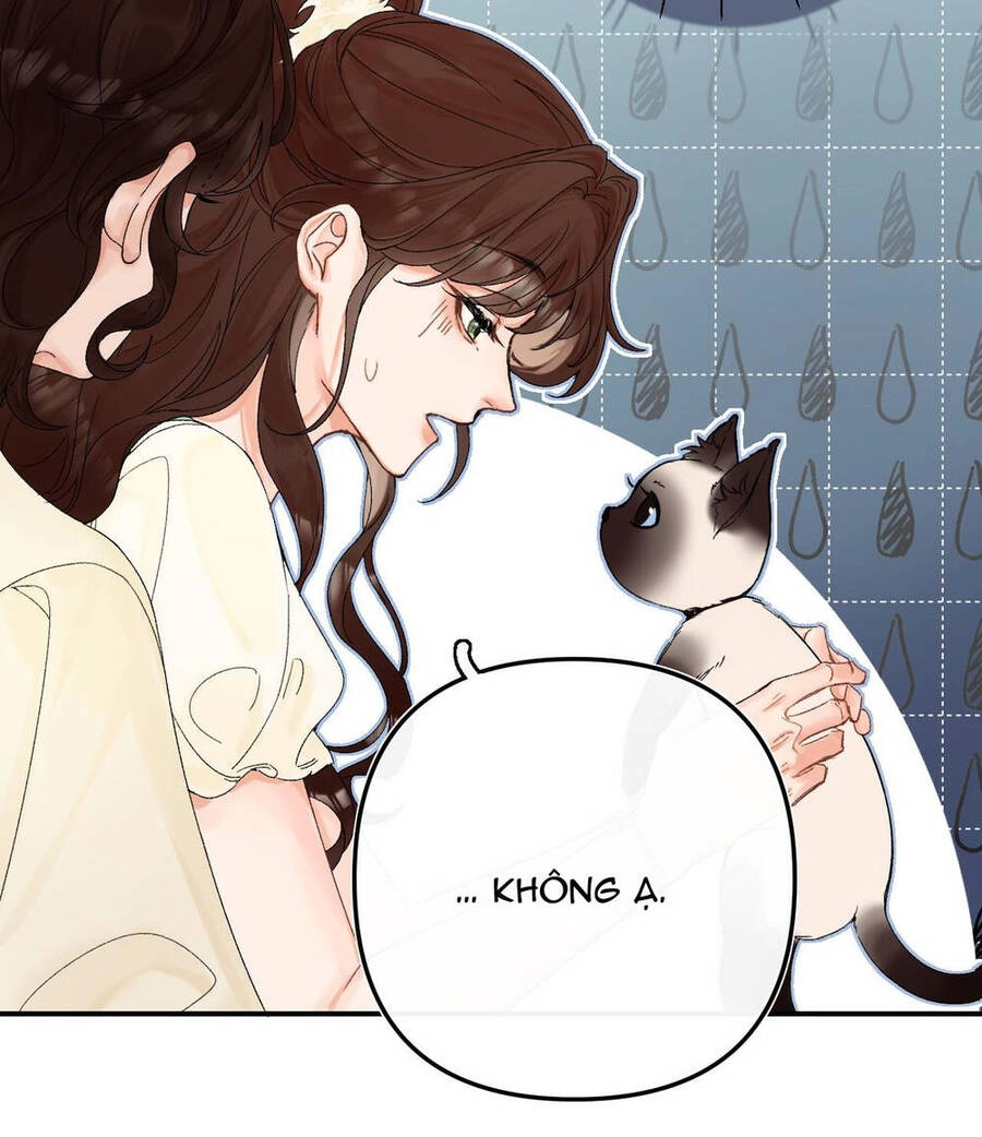 Xin Được Chỉ Giáo Chapter 5.1 - 21