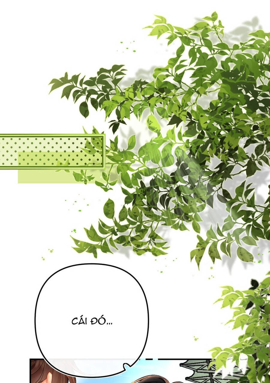 Xin Được Chỉ Giáo Chapter 7.1 - 21