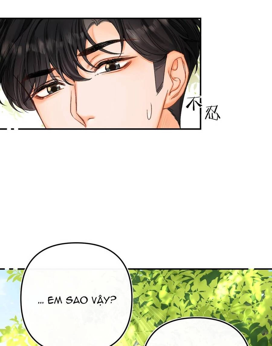 Xin Được Chỉ Giáo Chapter 8.1 - 11