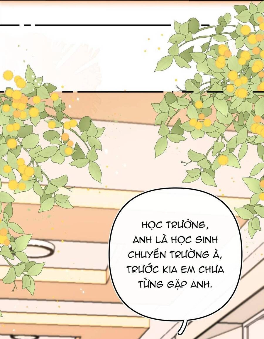 Xin Được Chỉ Giáo Chapter 8.1 - 22