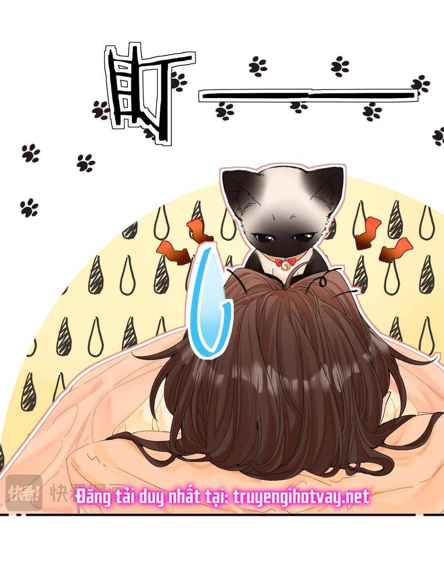 Xin Được Chỉ Giáo Chapter 8.2 - 24