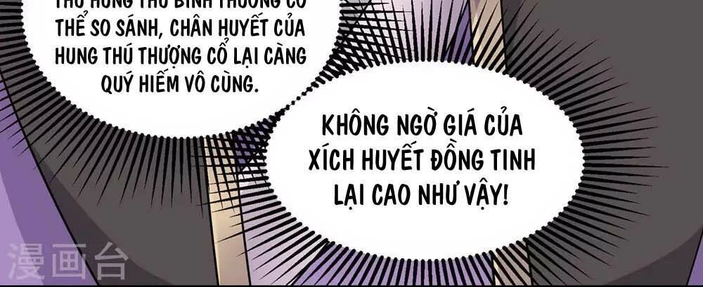 Cái Thế Đế Tôn Chapter 5 - 16