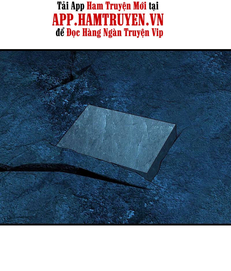 Cái Thế Đế Tôn Chapter 206 - 12