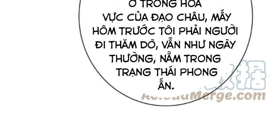 Cái Thế Đế Tôn Chapter 237 - 16