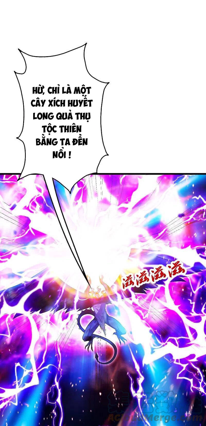 Cái Thế Đế Tôn Chapter 248 - 26