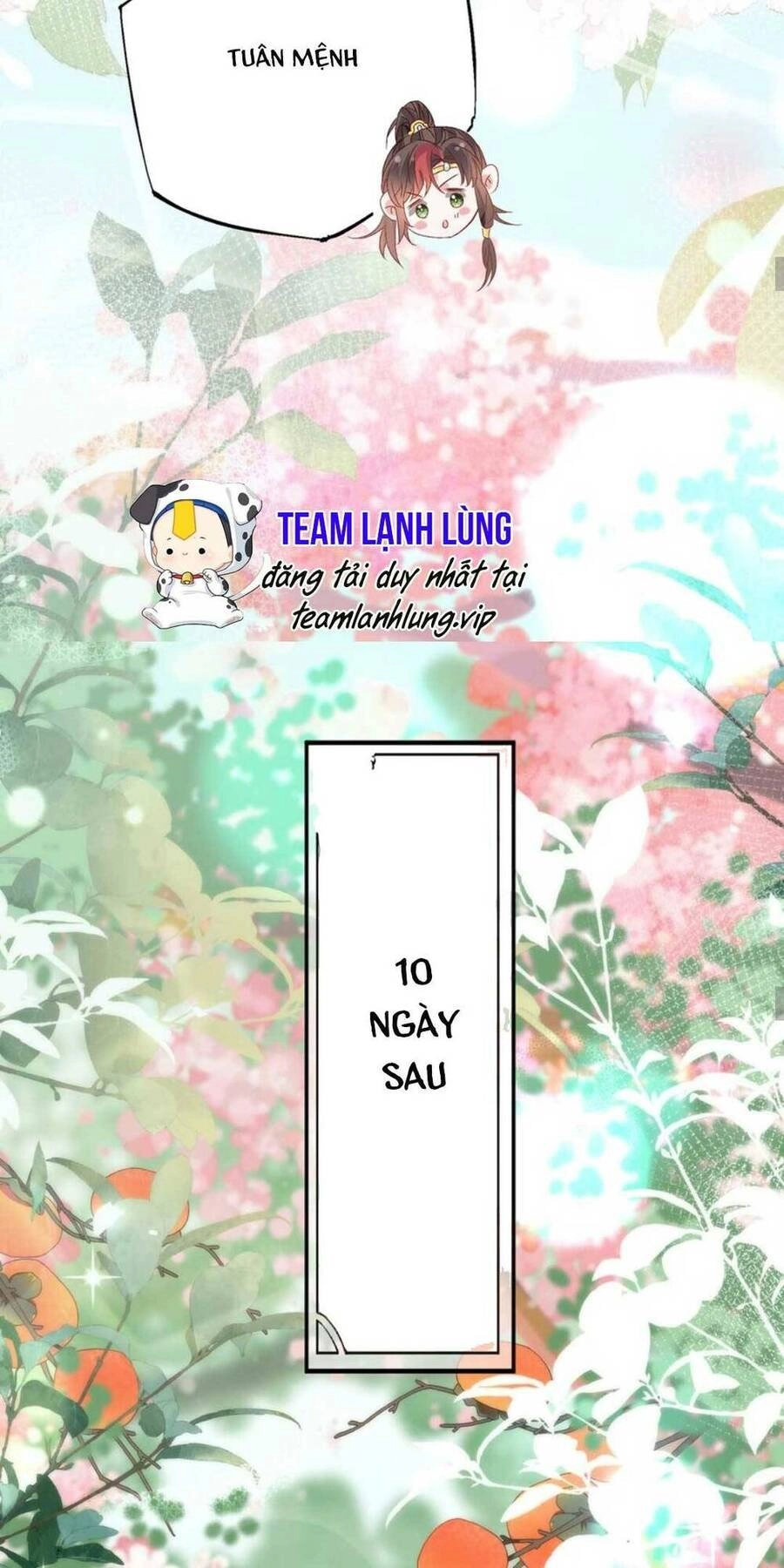Hồ Ly Cáo Già Và Bạch Liên Hoa Cao Lãnh , Ai Sẽ Lộ Tẩy Trước Đây? Chapter 15 - 26
