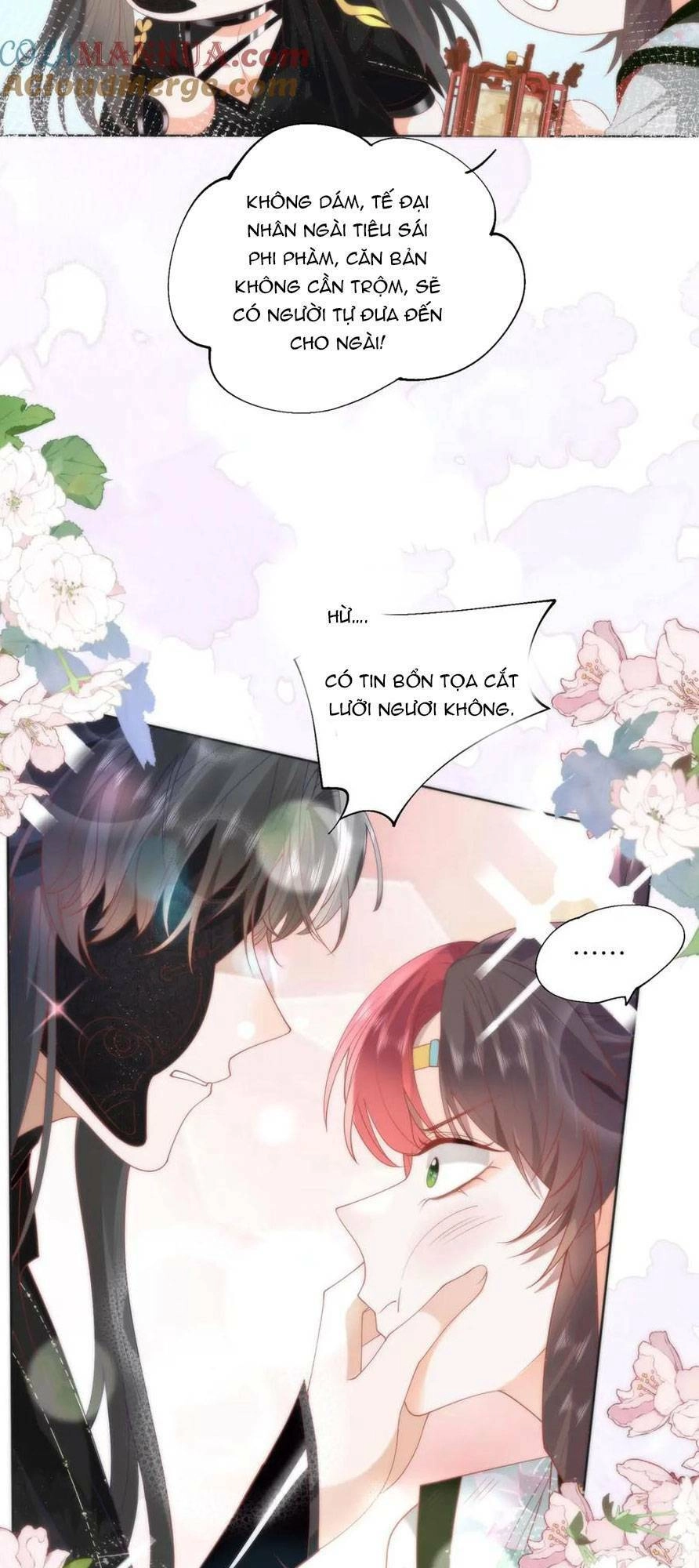 Hồ Ly Cáo Già Và Bạch Liên Hoa Cao Lãnh , Ai Sẽ Lộ Tẩy Trước Đây? Chapter 28 - 6