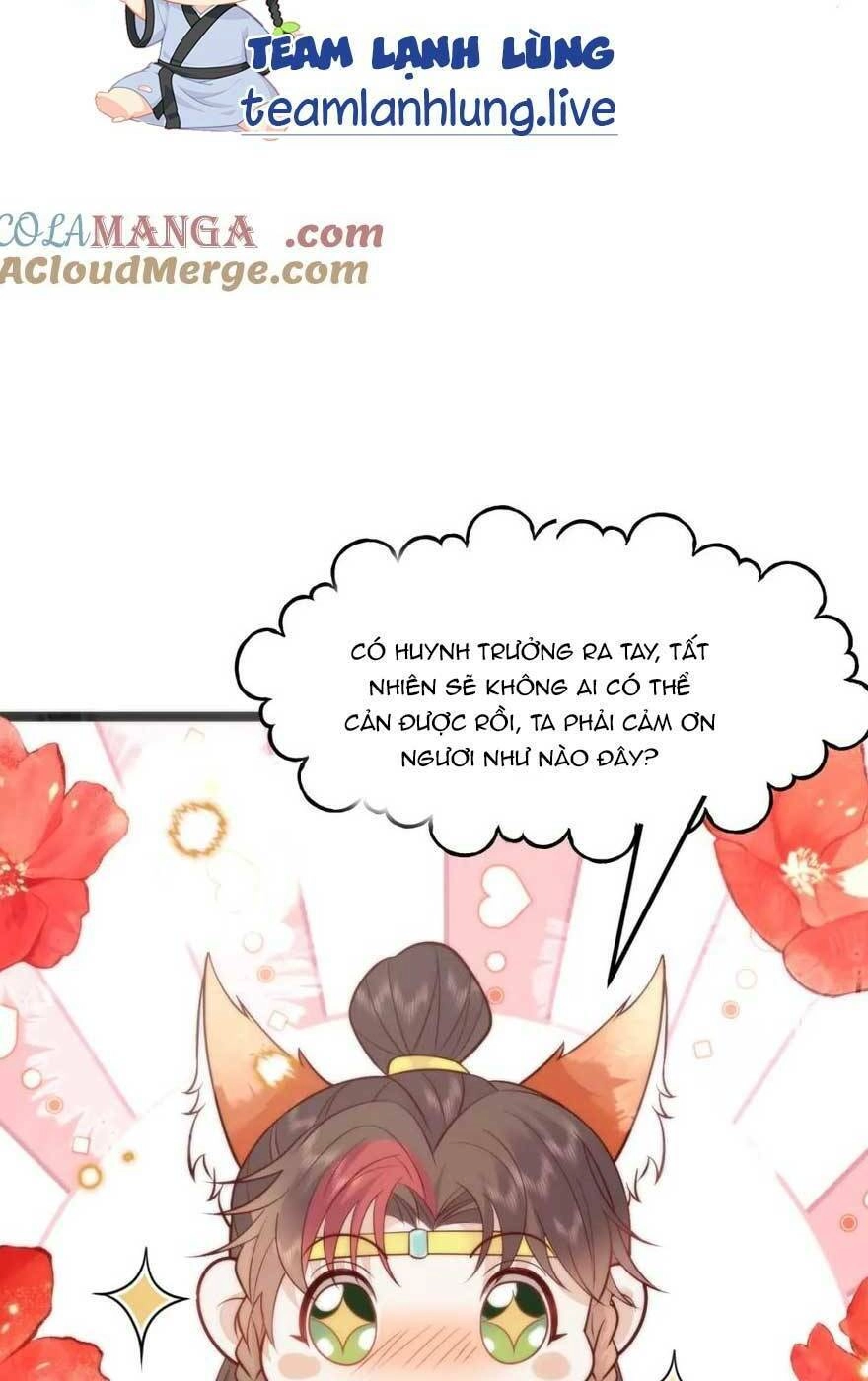 Hồ Ly Cáo Già Và Bạch Liên Hoa Cao Lãnh , Ai Sẽ Lộ Tẩy Trước Đây? Chapter 41 - 30