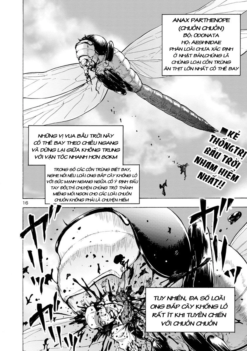 Kyochuu Rettou - Đảo Côn Trùng Chapter 22.5 - 17