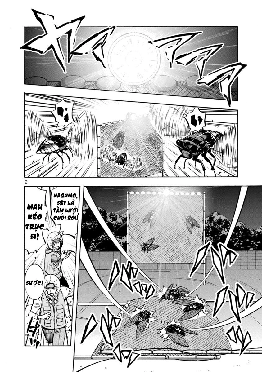 Kyochuu Rettou - Đảo Côn Trùng Chapter 33 - 39