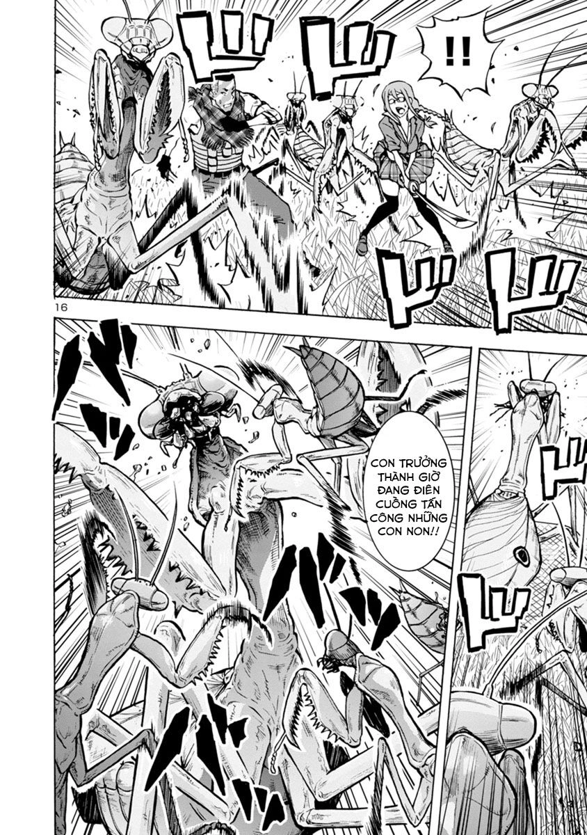 Kyochuu Rettou - Đảo Côn Trùng Chapter 38.5 - 36