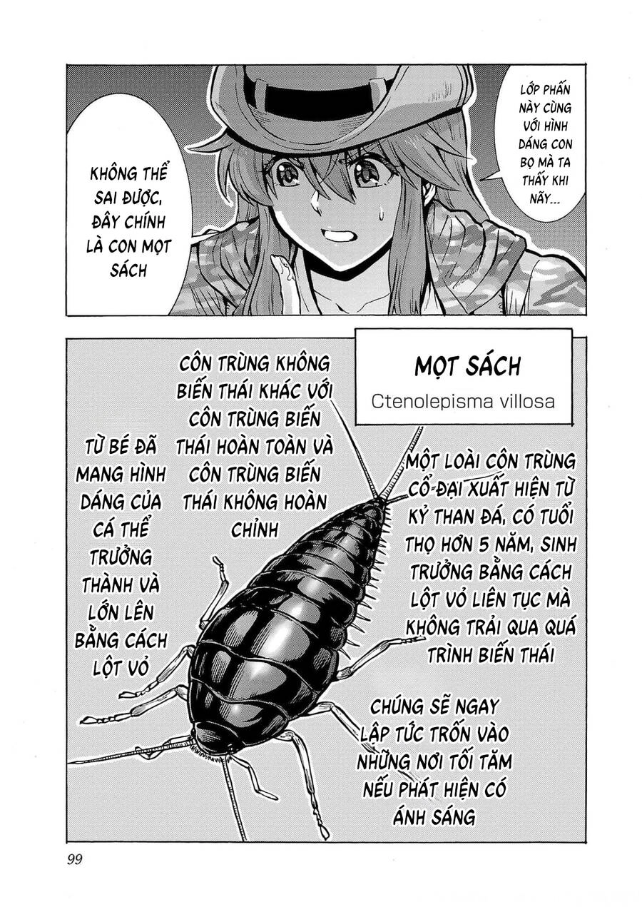 Kyochuu Rettou - Đảo Côn Trùng Chapter 64 - 22