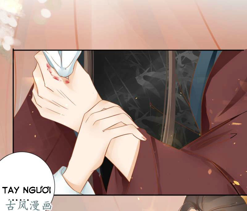 Trục Phong Nguyệt, Dư Quân Hỉ Chapter 22 - 23