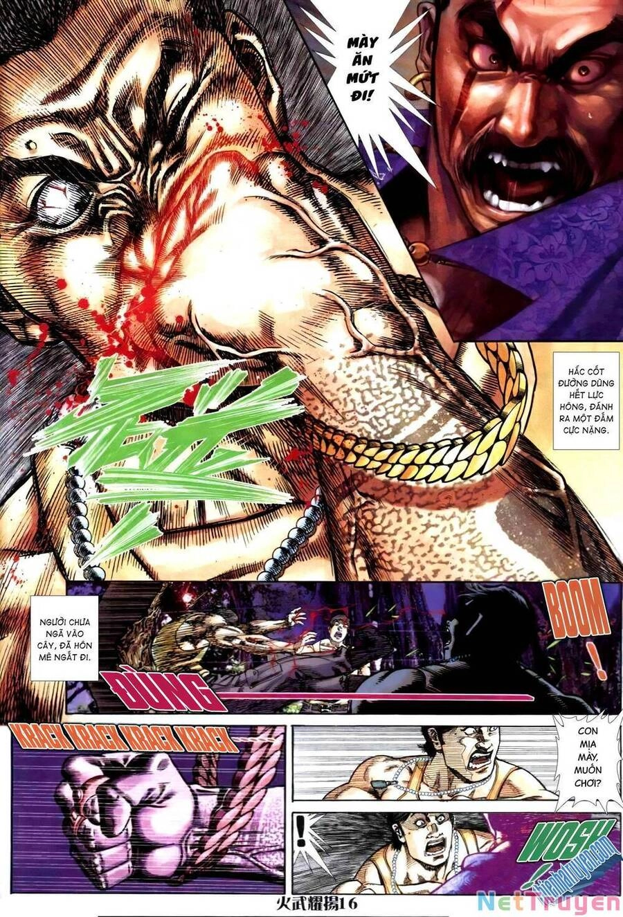 Hỏa Vũ Diệu Dương Chapter 299.2 - 12