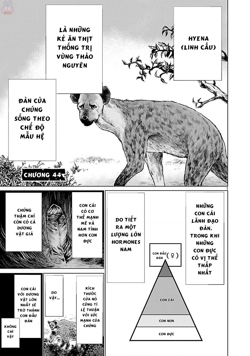 Killing Bites Chapter 44 - 4