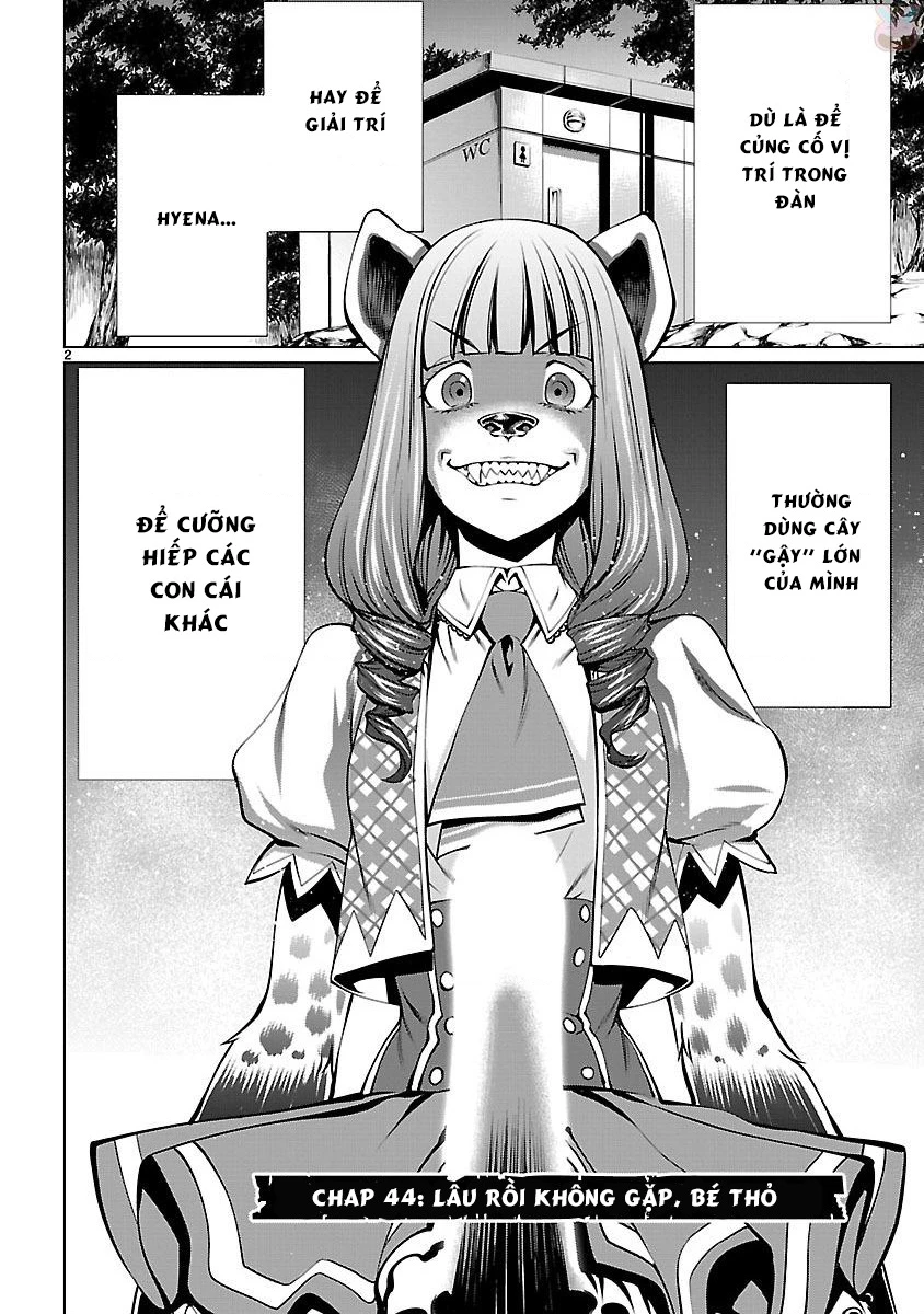 Killing Bites Chapter 44 - 5